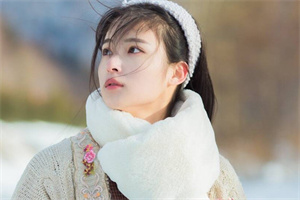 上海的红树林与野生动物探秘 上海的红树林与野生动物探秘